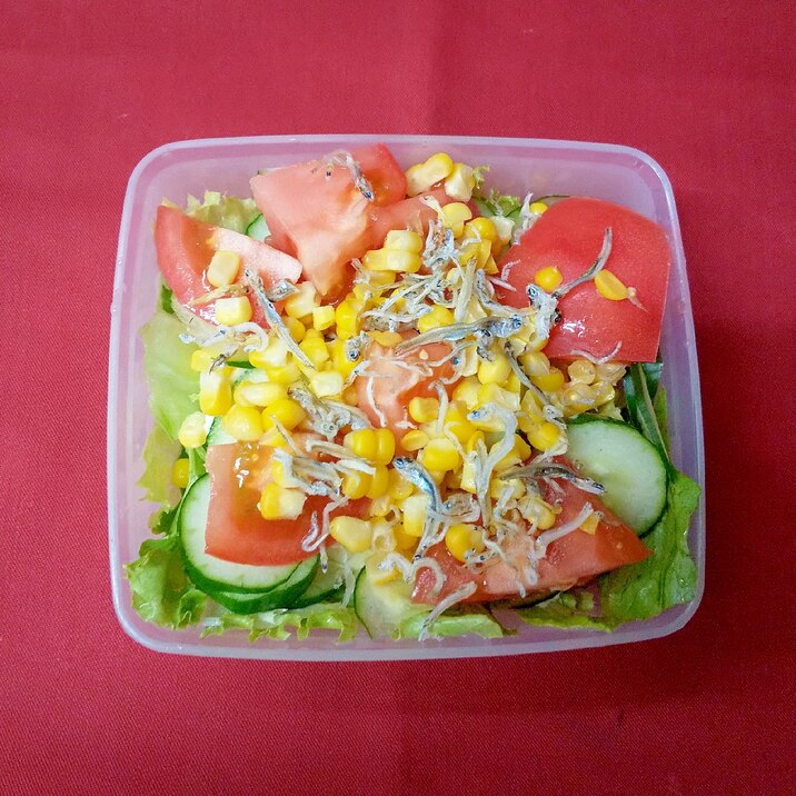 黄緑赤色サラダ